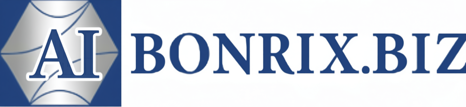 Bonrix.biz Logo